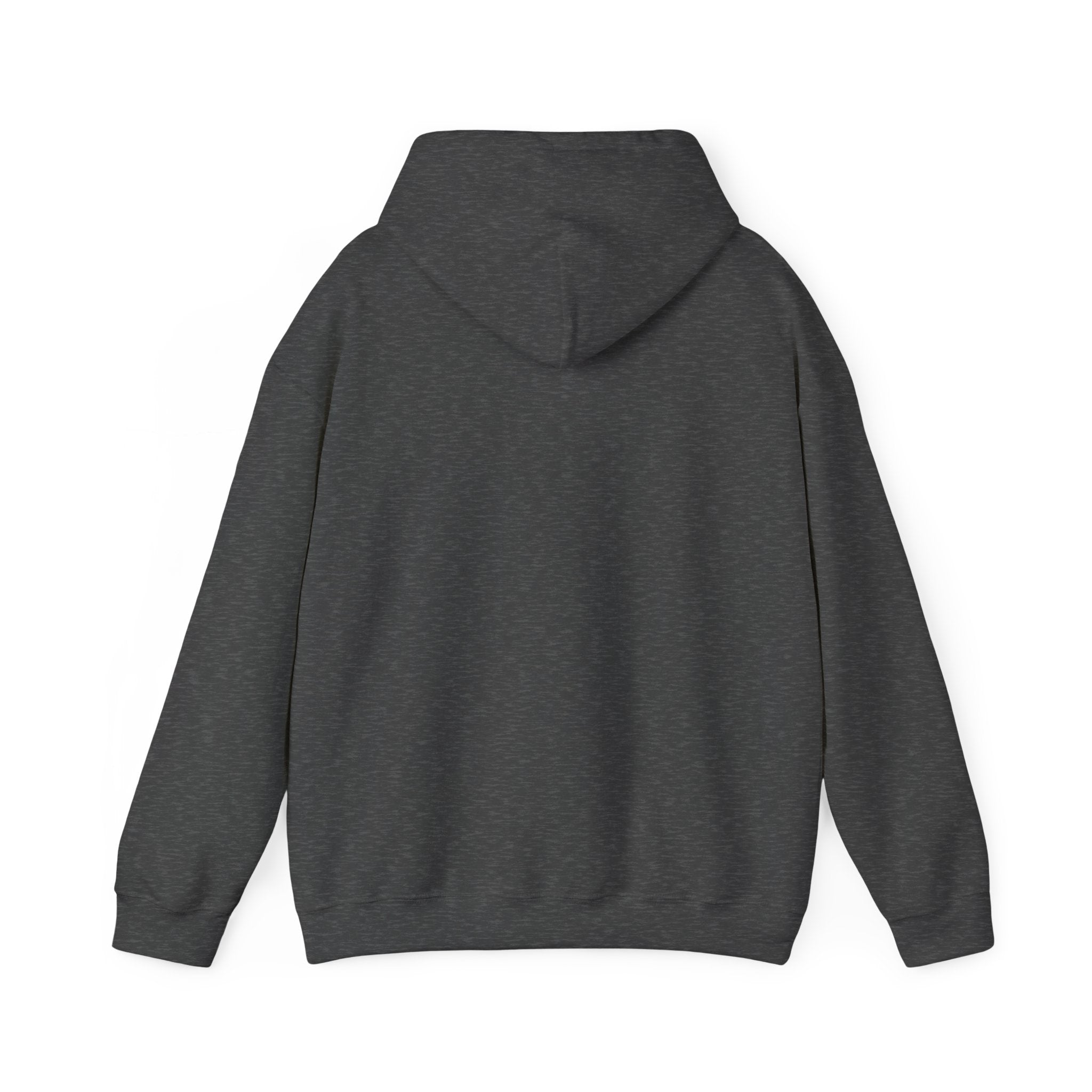 Earth Day Hooded Sweatshirt