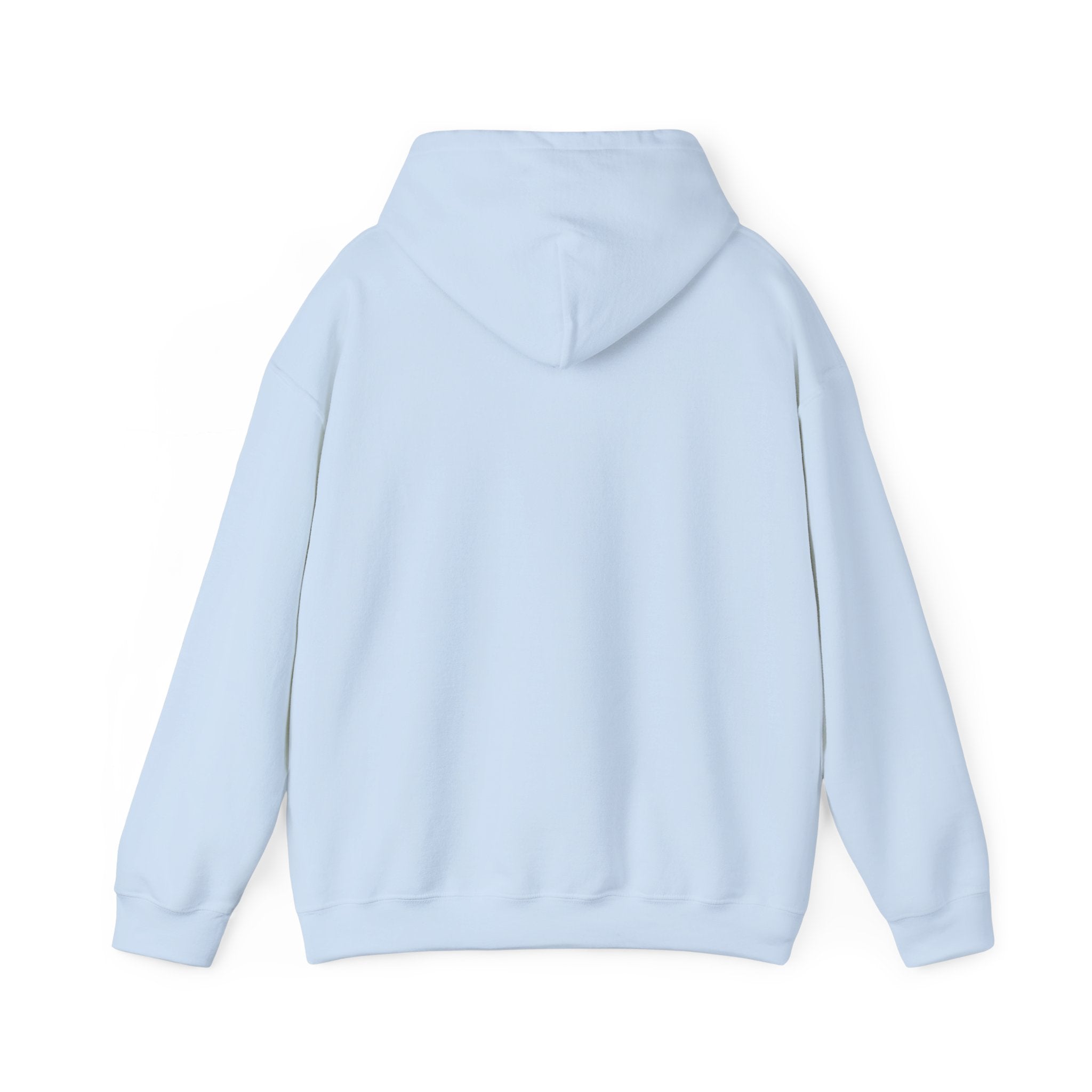 Earth Day Hooded Sweatshirt